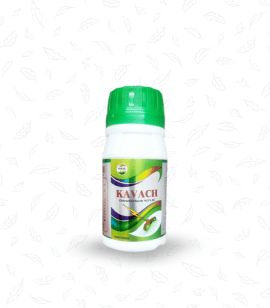 Kavach