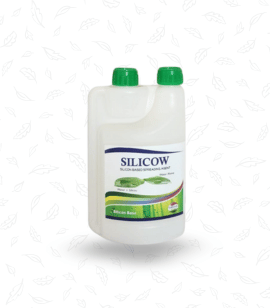 Silicow-2
