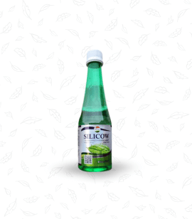 Silicow