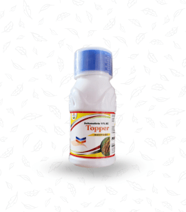 Topper