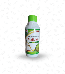 Validate