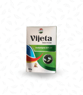 Vijeta