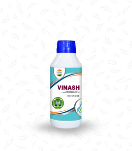 Vinash