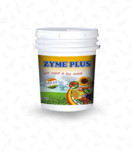 Zymeplus