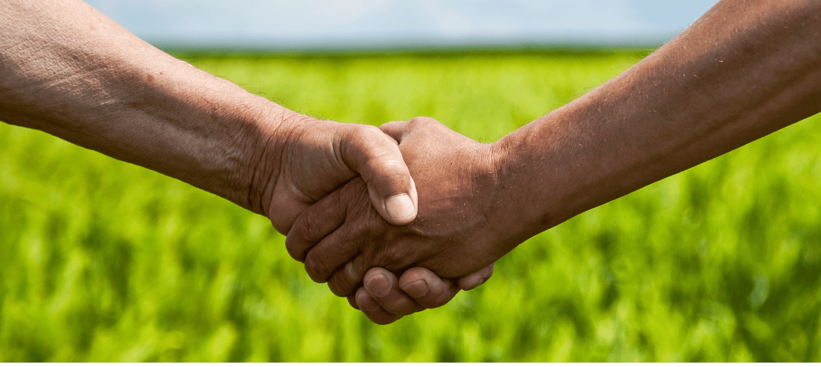 Empowering Agriculture Solutions